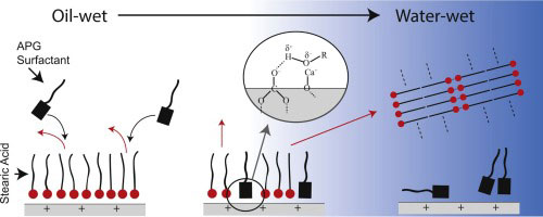 APG action mechanism